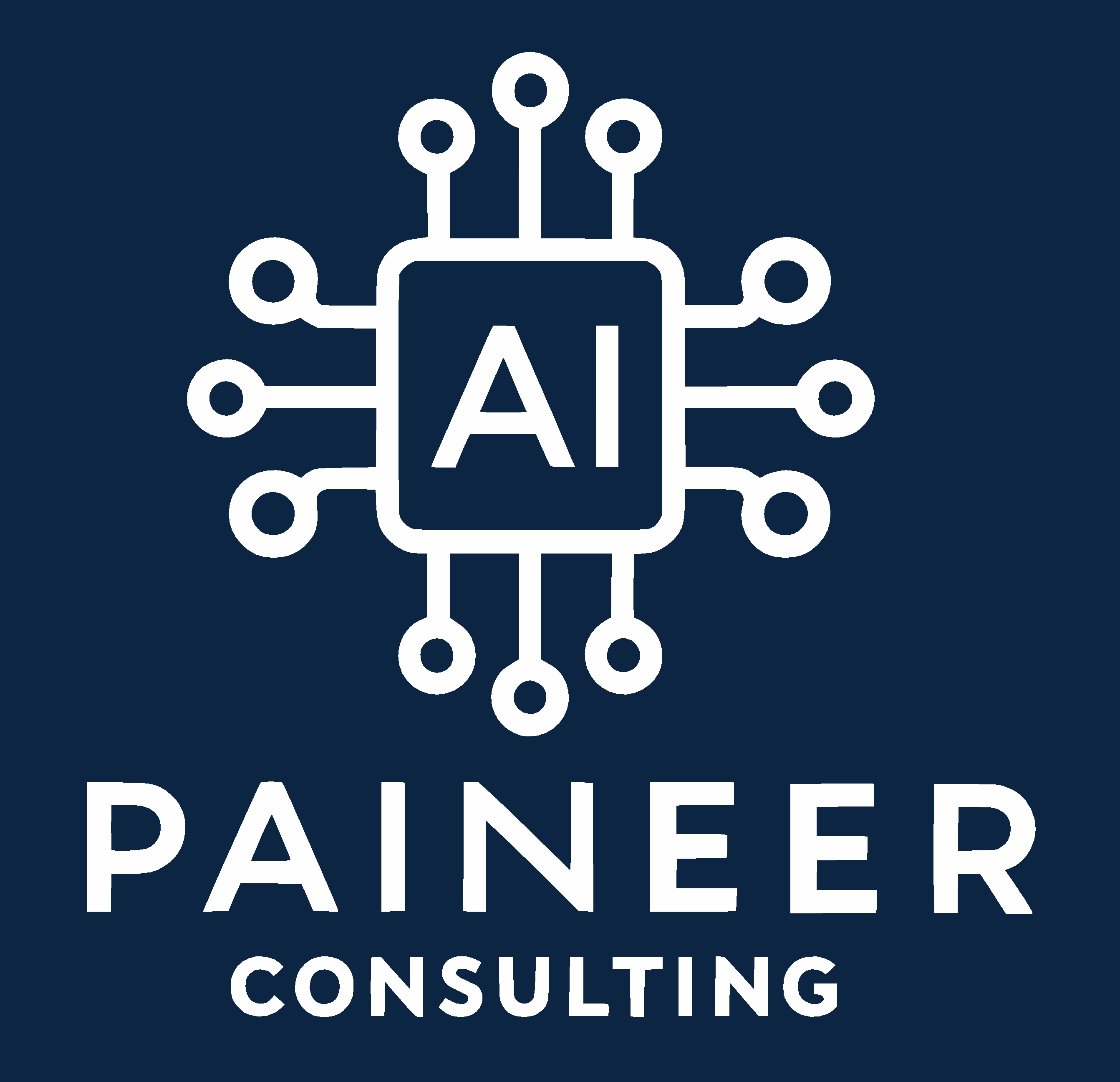 pAIneer Consulting